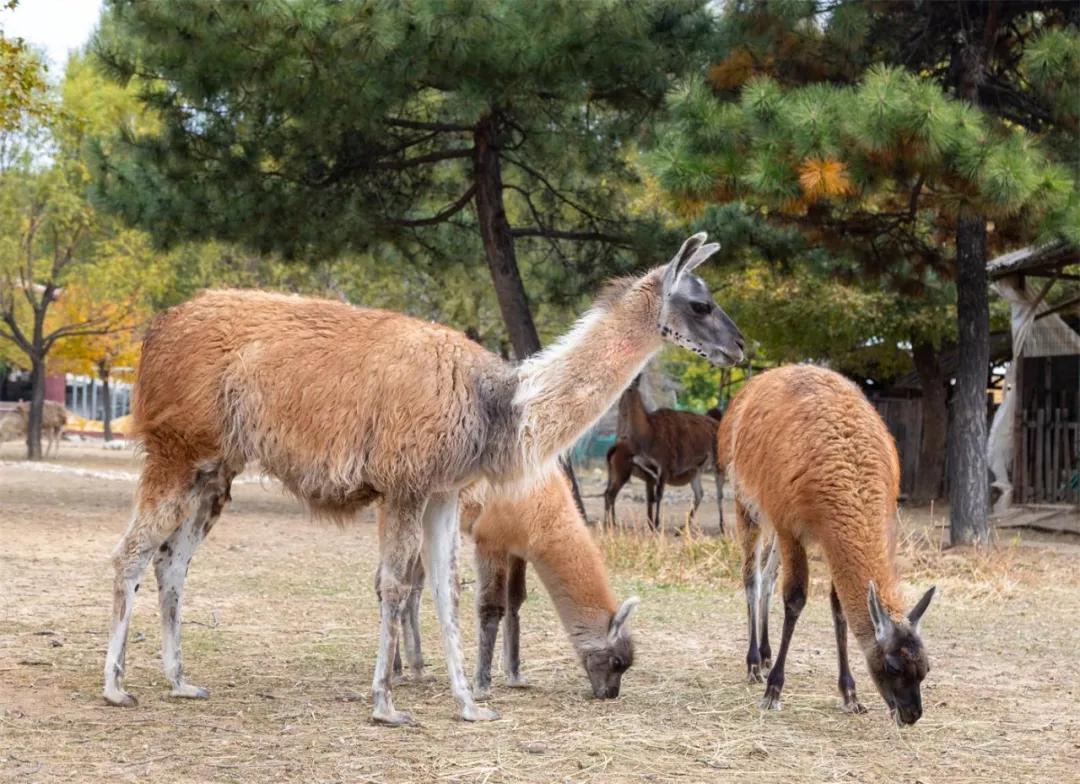 微信圖片_20190529160547.jpg 微信圖片_20190529160547.jpg